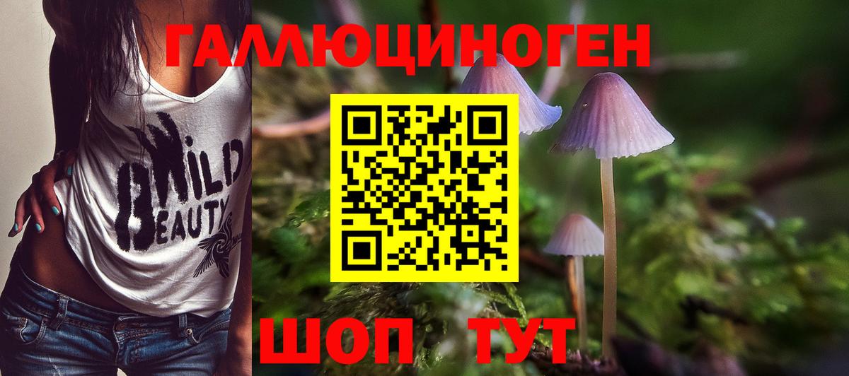 Псилоцибиновые грибы Psilocybine cubensis Грозный